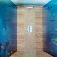 Grafické sklo sauna, sprcha