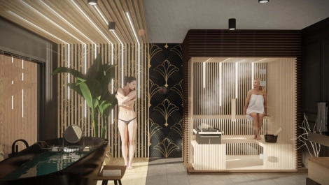 vision sauna vision sauna
