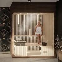 vnútorná sauna vision